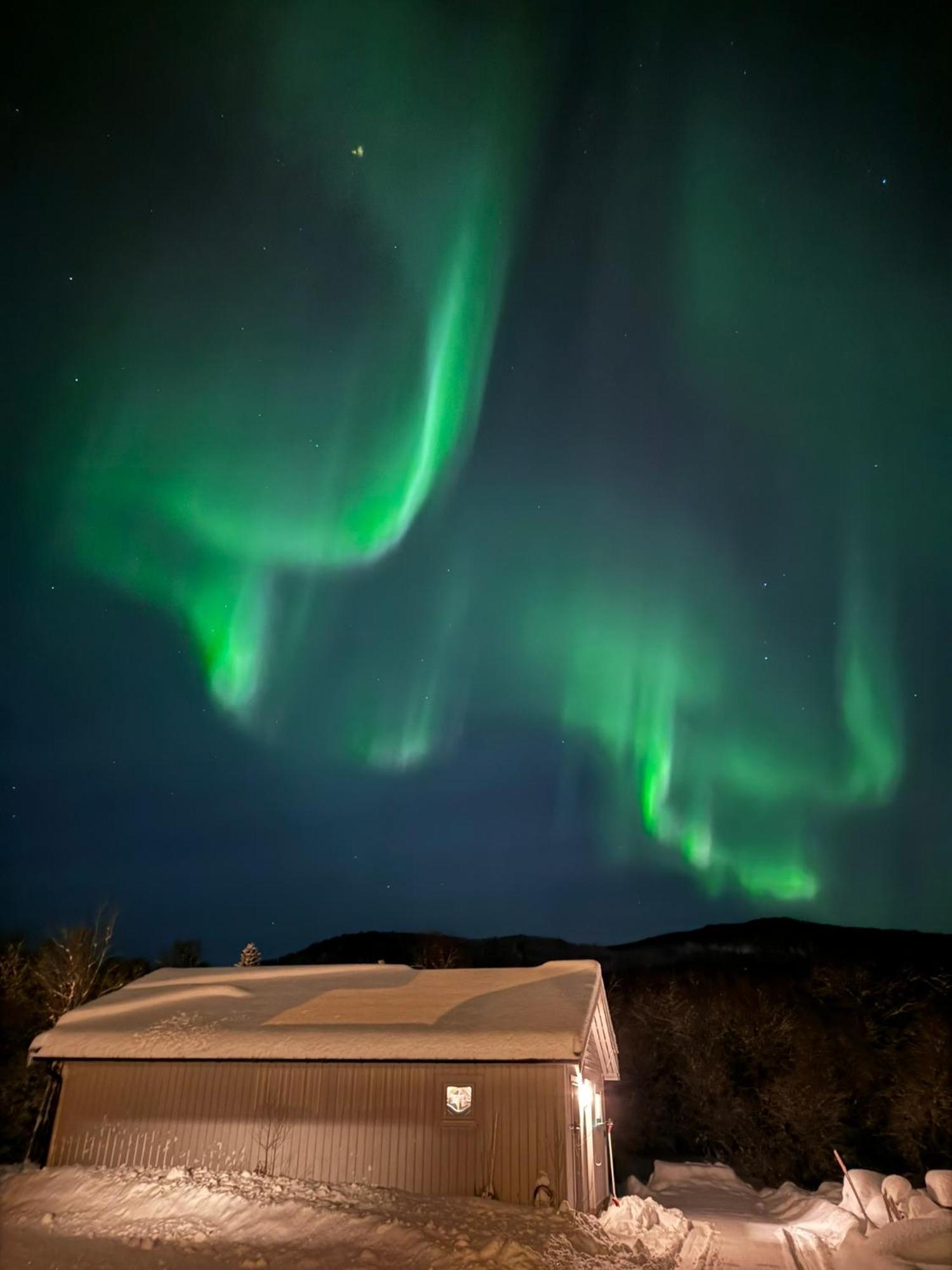 Platinum Vip - Northern Light Luxury House ترومسو المظهر الخارجي الصورة