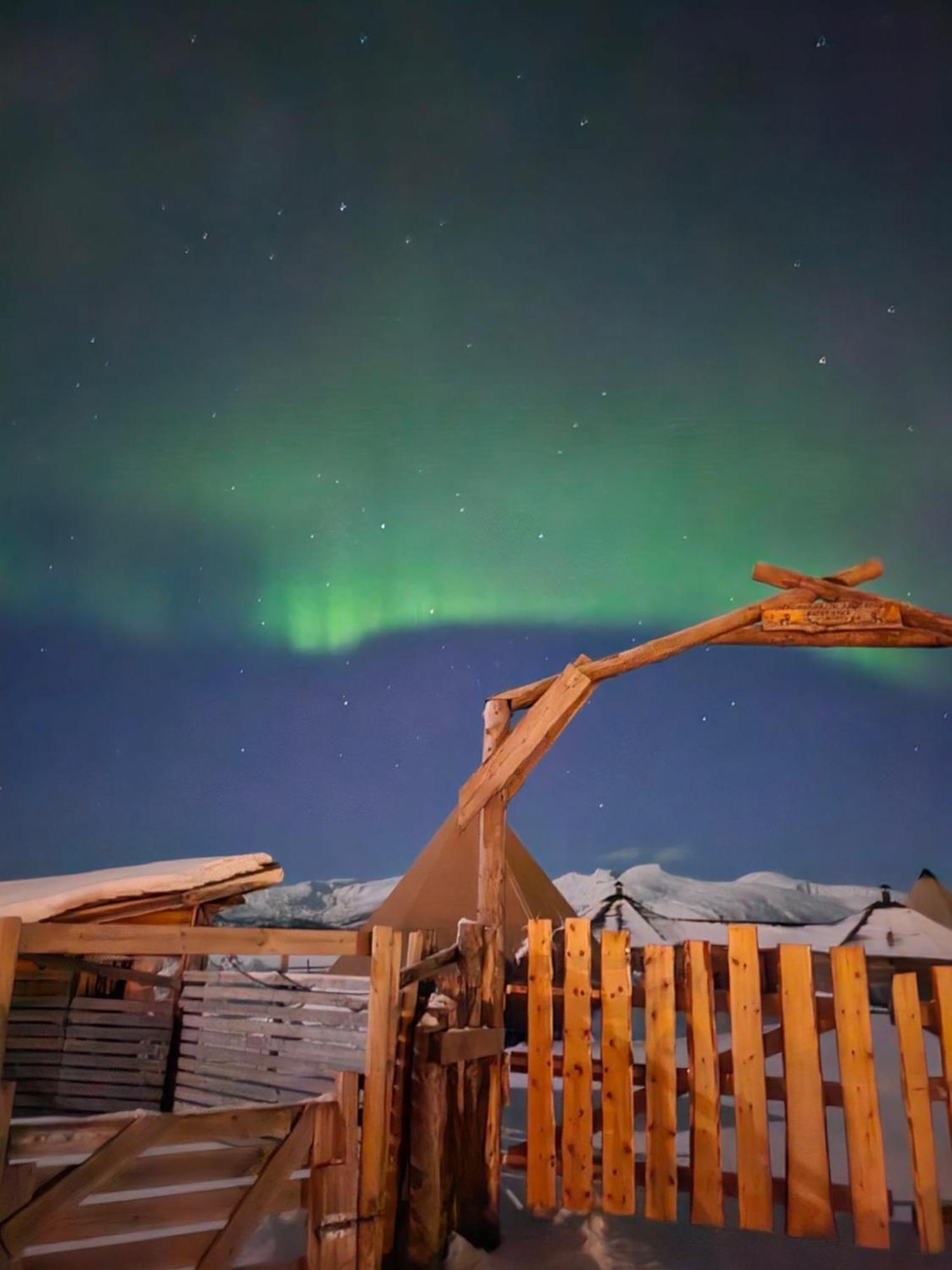 Platinum Vip - Northern Light Luxury House ترومسو المظهر الخارجي الصورة